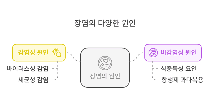 장염의 다양한 원인