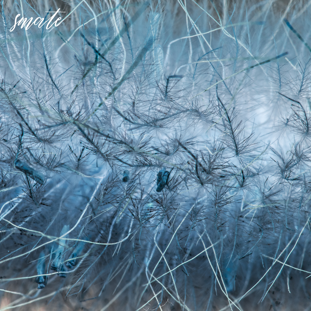 바이오나노소재