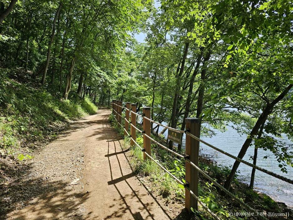 담양 가볼만한곳 베스트10