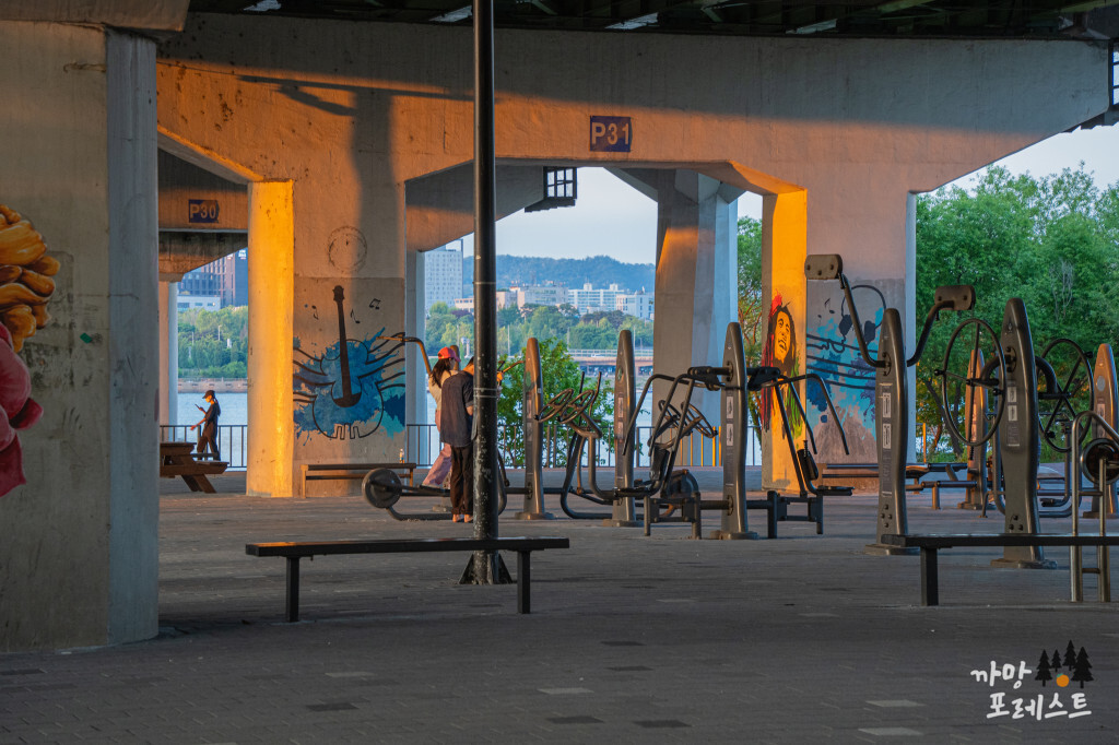 양화 한강공원 운동기구