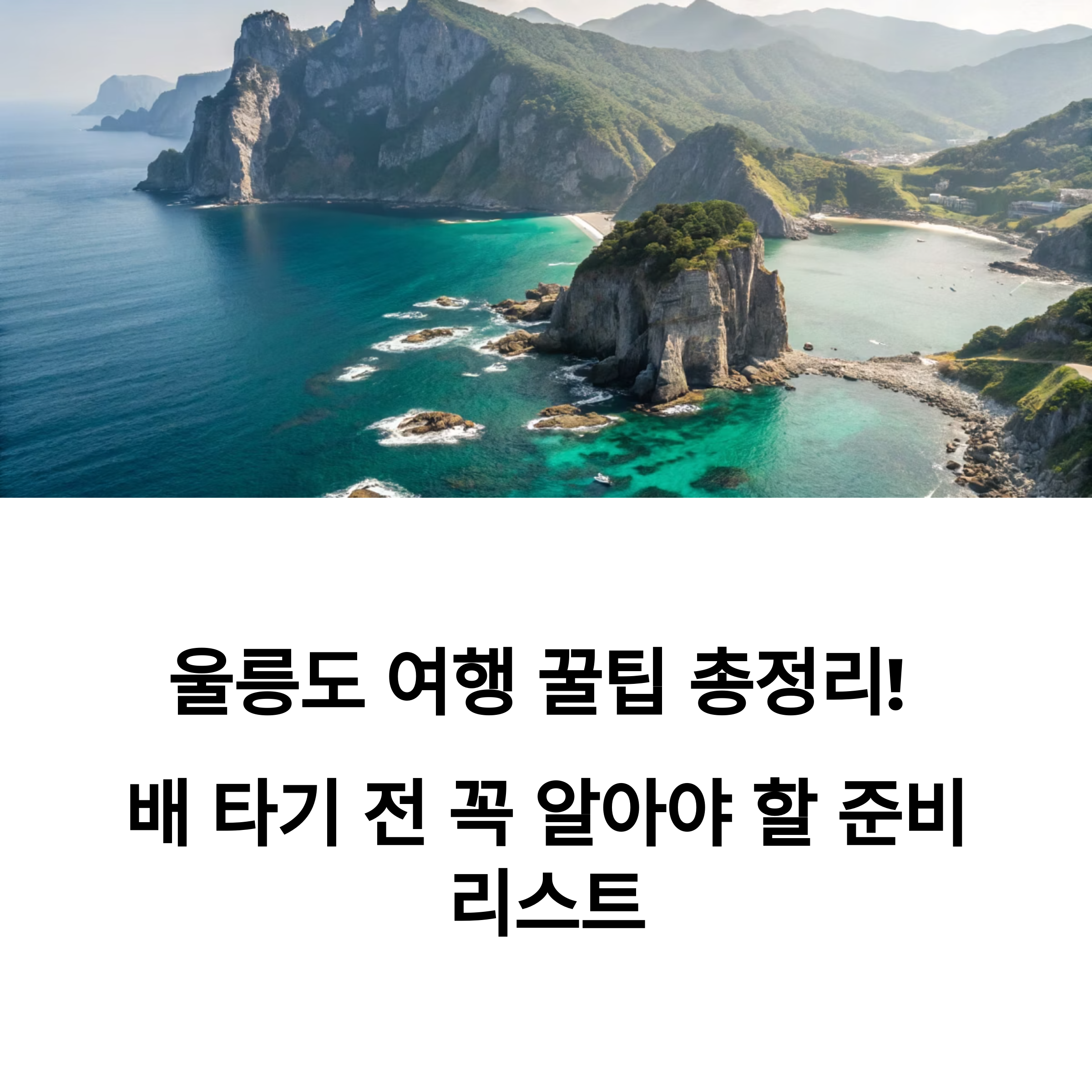 울릉도 여행 꿀팁 총정리