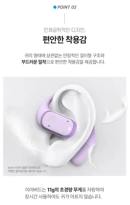 블라우풍트 무선 이어폰 - 찐 후기 (장단점 다 알려 드림!!!) - 100주년 에디션의 특별함