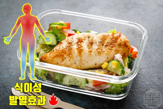 신진대사 높이는 음식 신진대사음식 단백질 닭가슴살