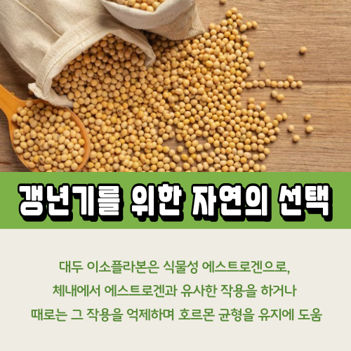 대두 이소플라본