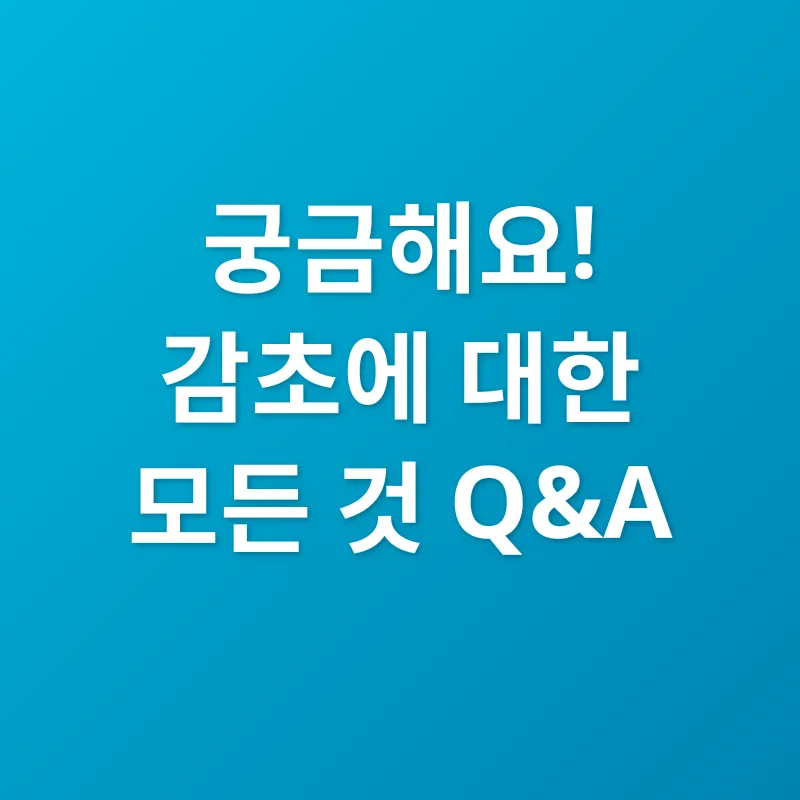 감초 활용법_4
