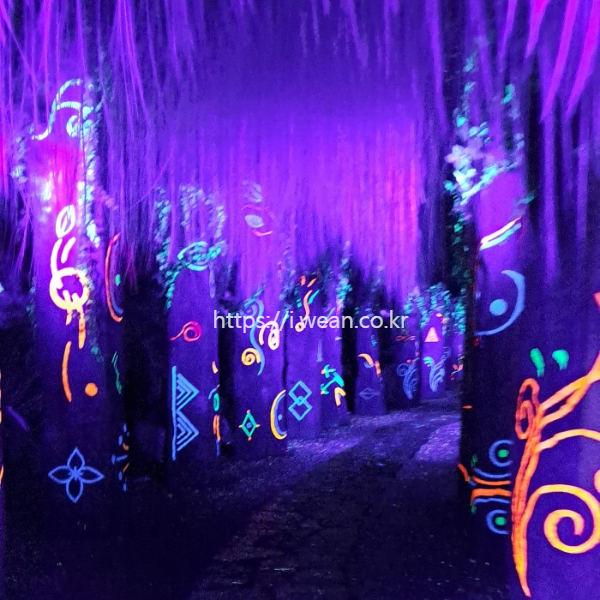 디피랑 나무사이 관람길 입니다.