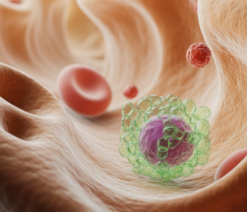 글루타치온 효능