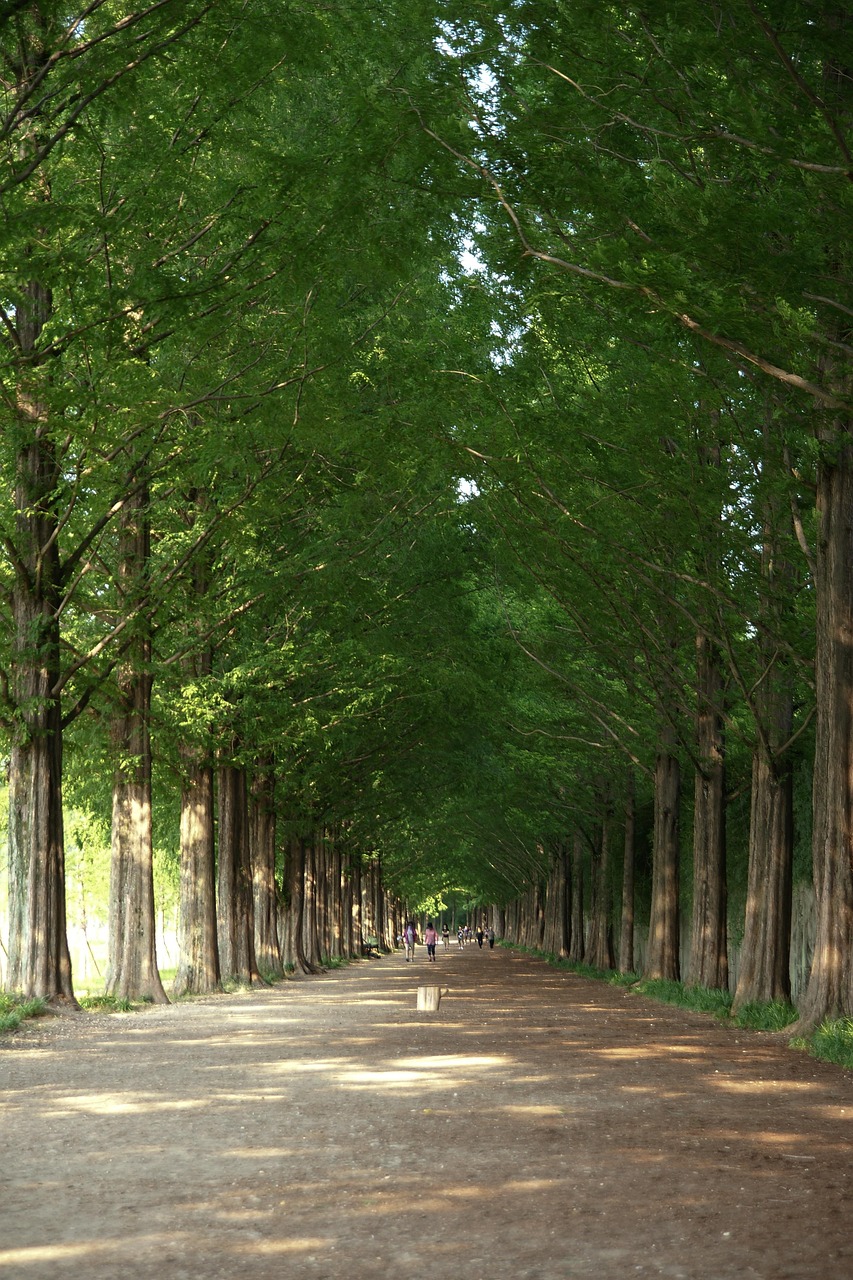 국내 힐링 여행지 베스트 10곳