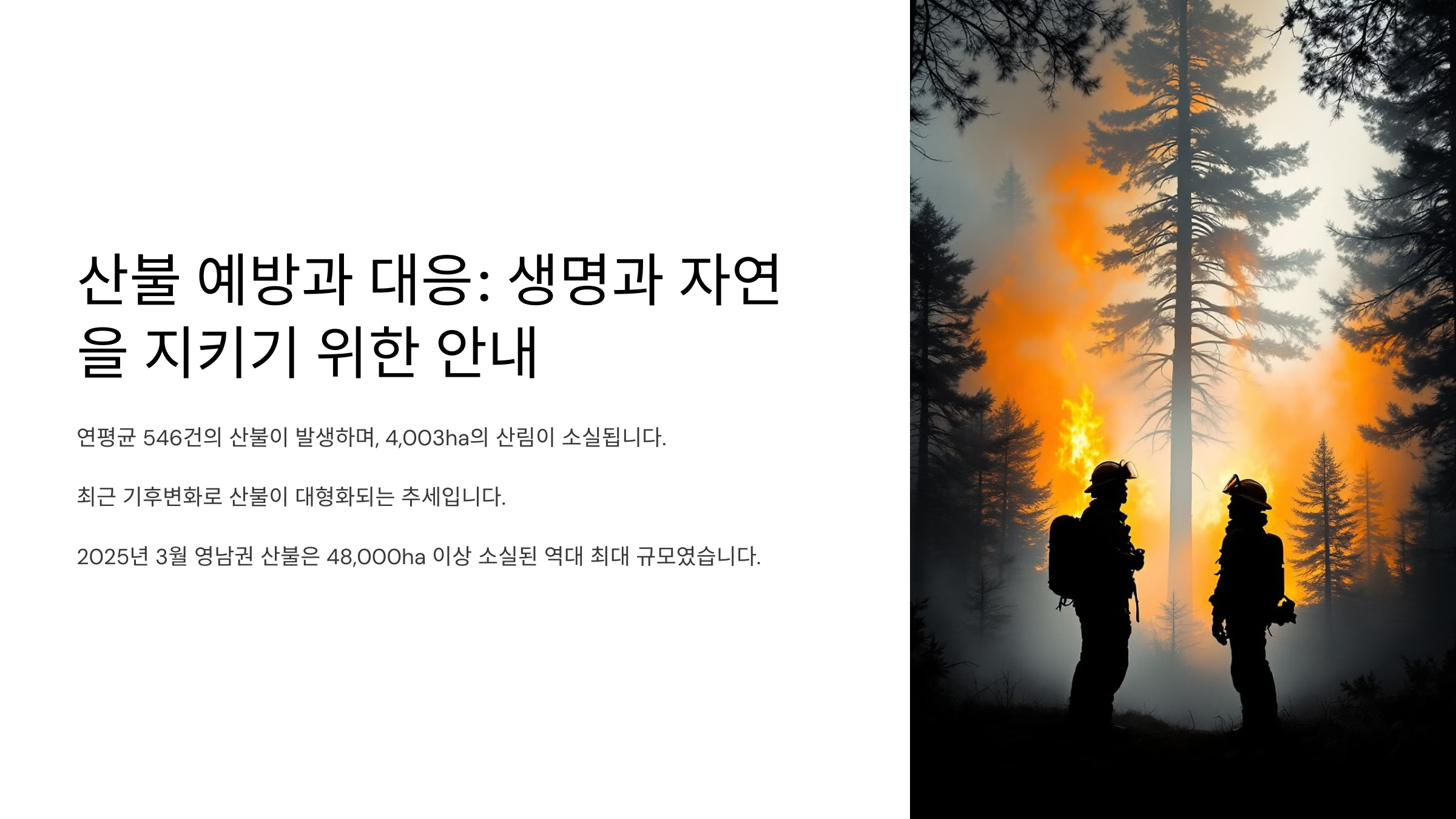 산불 예방