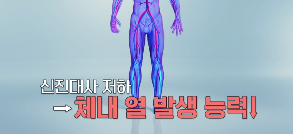 흑염소 진액 효능