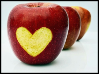 폴리코사놀 복용법