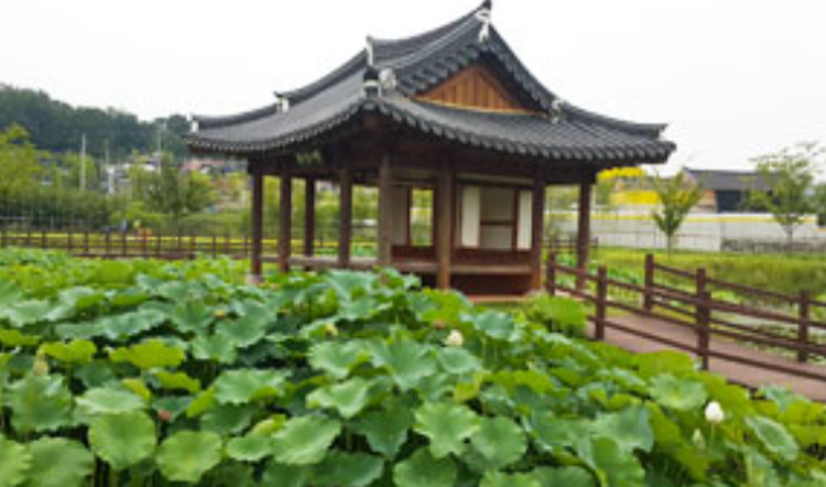 담양 죽녹원