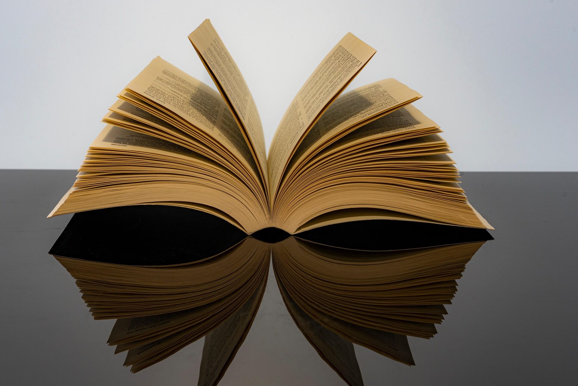 신용카드 vs 체크카드 완벽 비교 - 연말정산 최적화 전략