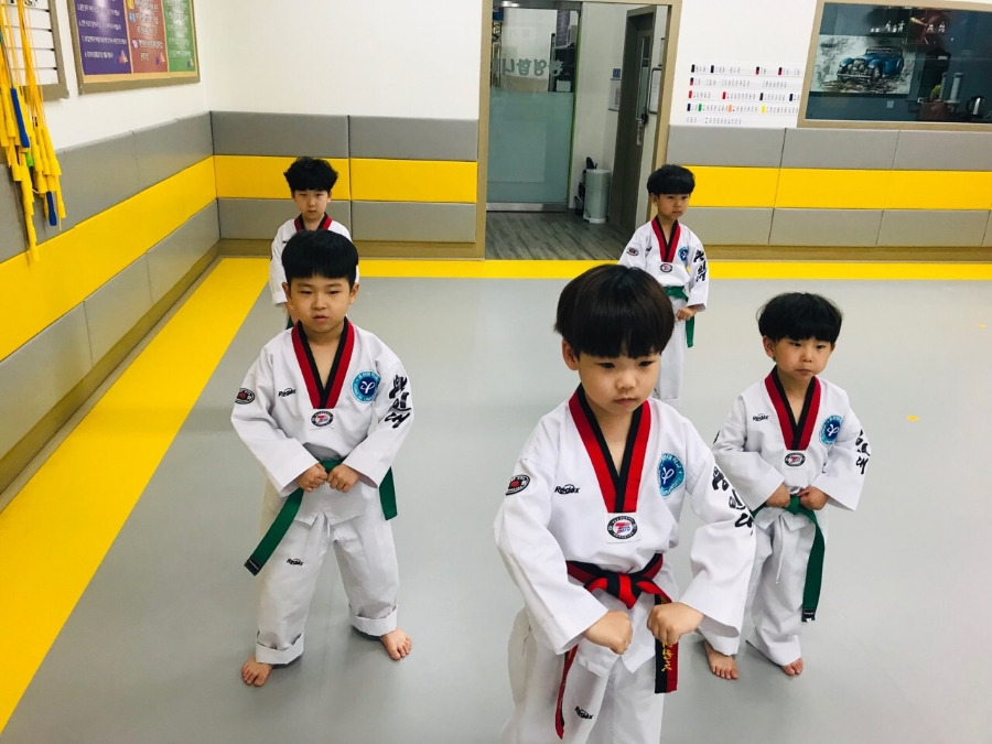 용인대석사태권도