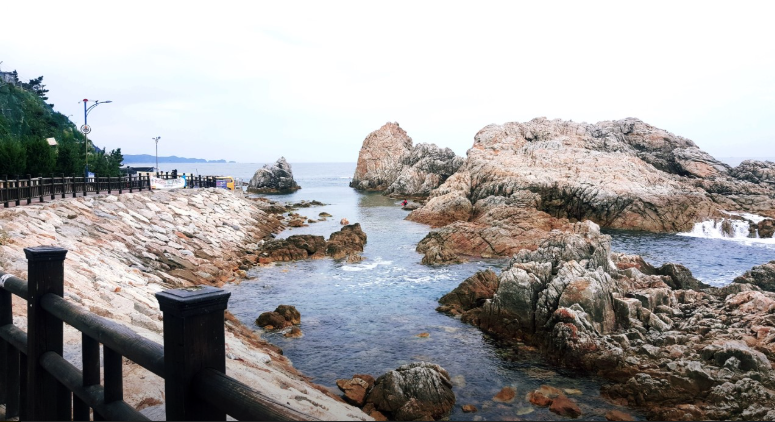 삼척 장호항