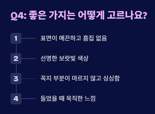 가지 효능 자주 묻는 질문 4