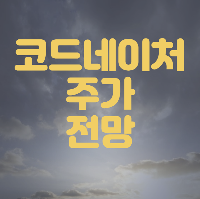 코드네이처 주가 전망