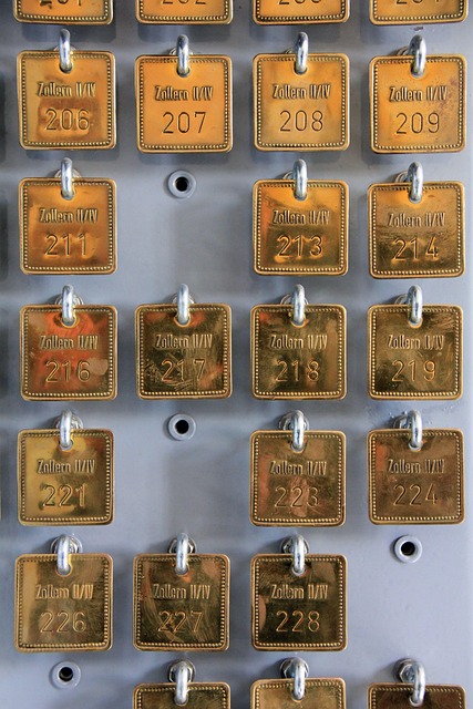 상표등록조회 관련 이미지