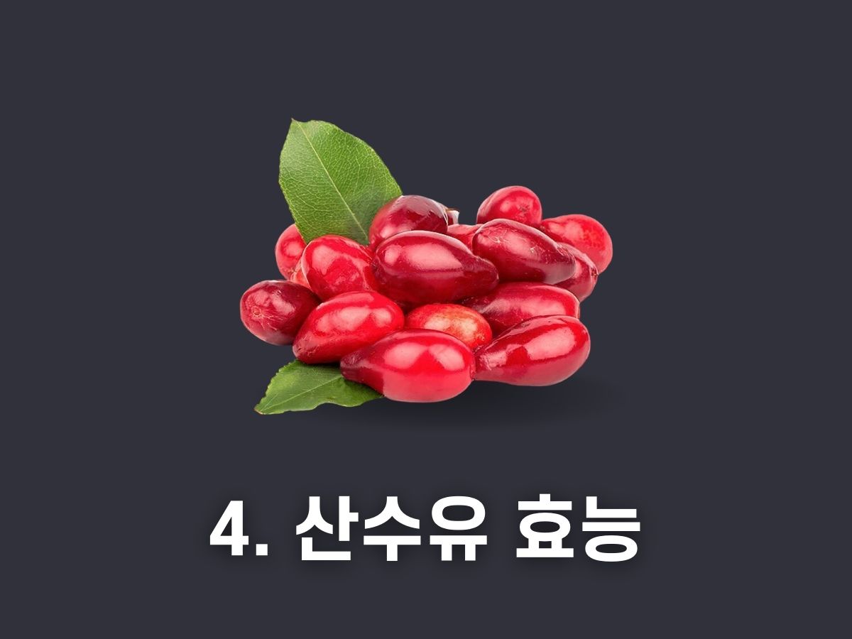 4. 산수유의 효능