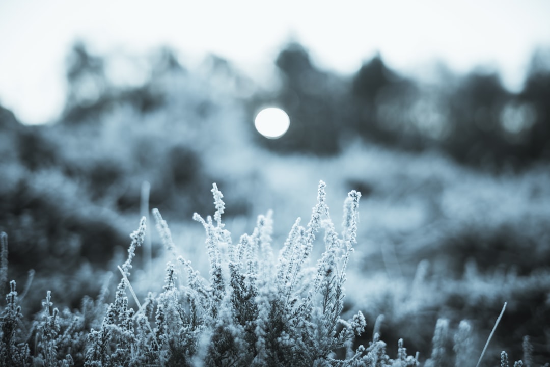 Cold.