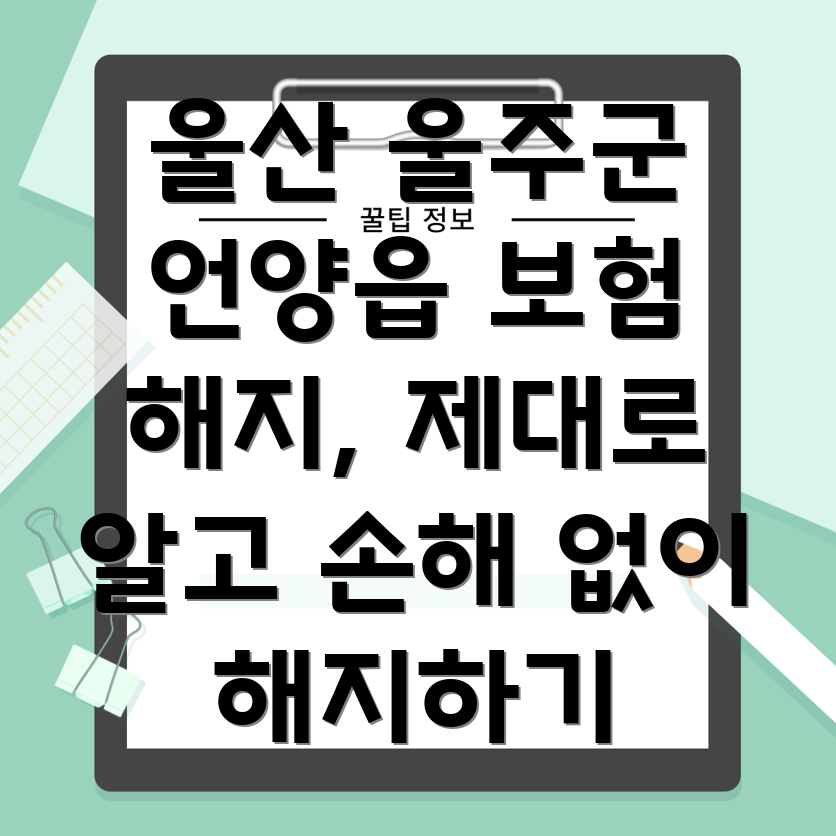 보험 해지