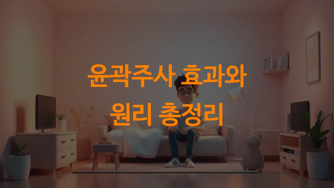 윤곽주사 효과와 원리 총정리