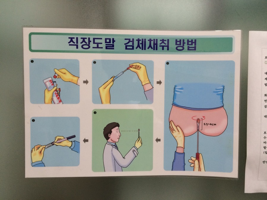 alt="장티푸스검사"