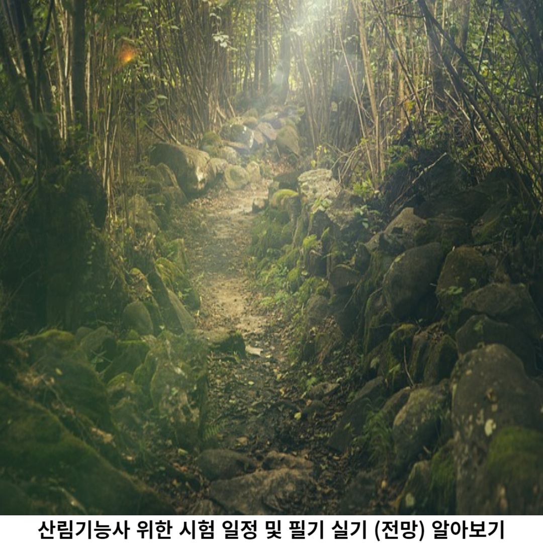 산림기능사 