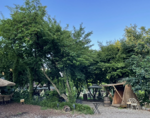 경기도 정원 카페