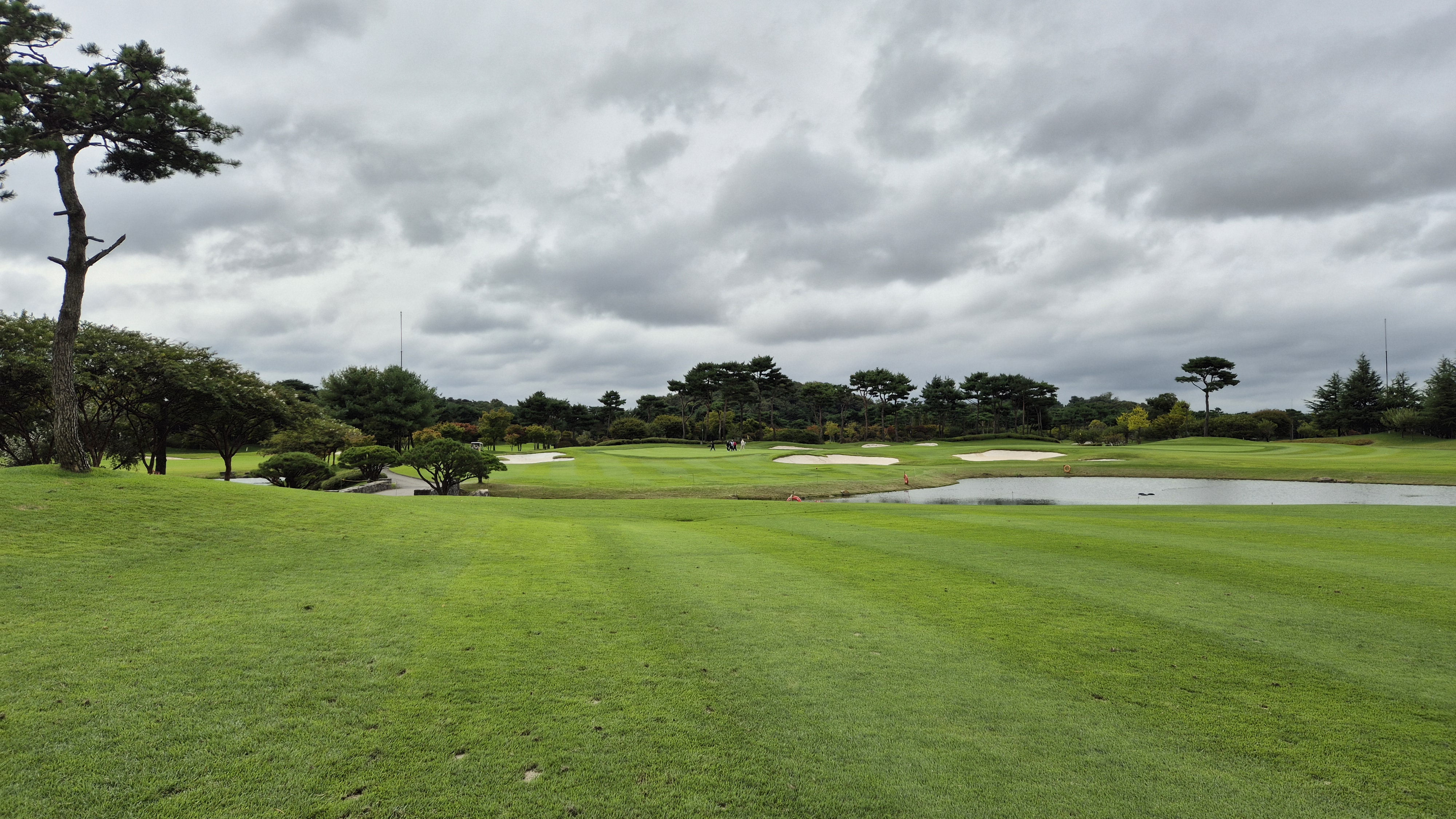 파인스톤cc 파인 코스