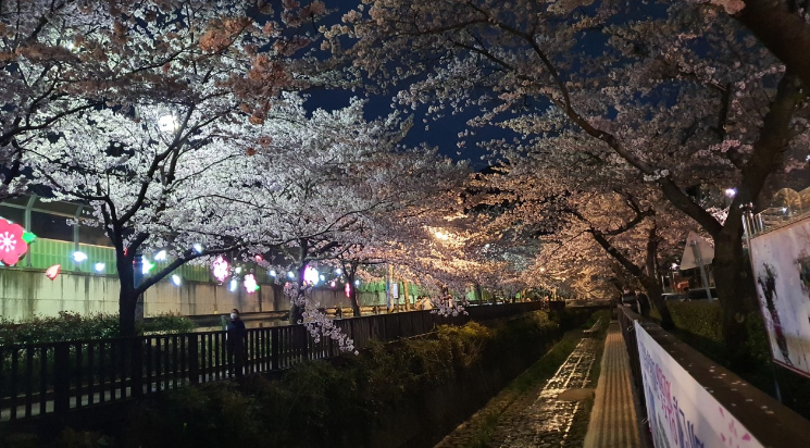 여좌천로망스다리4