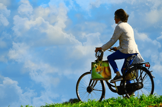 여권 재발급 온라인 신청