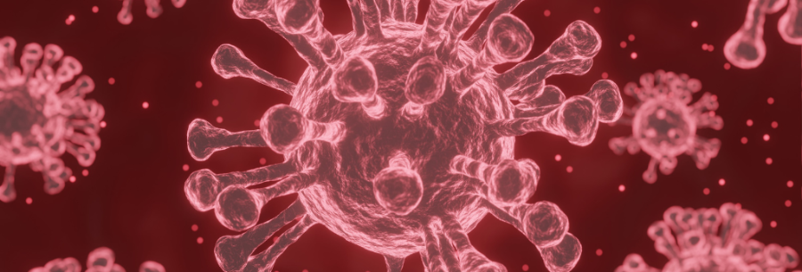 A형 인플루엔자 바이러스