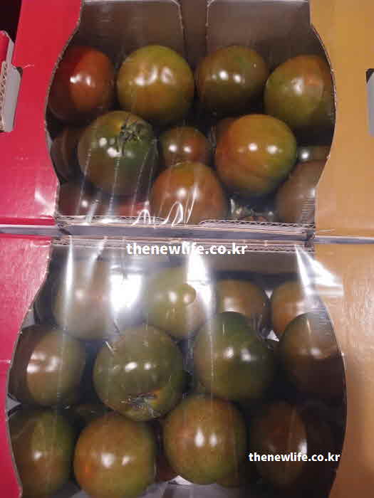 흑토마토 효능 요리법 달걀