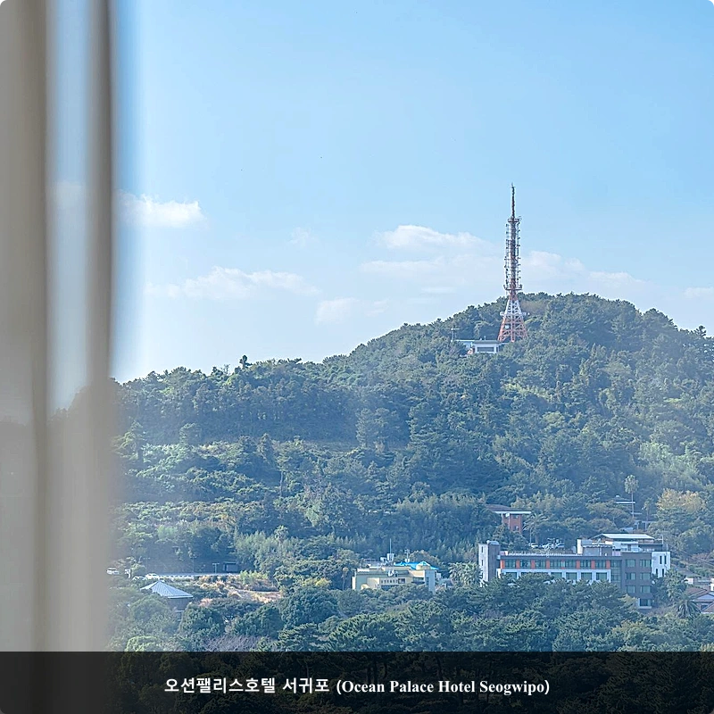 오션팰리스호텔 서귀포 (Ocean Palace Hotel Seogwipo)_5