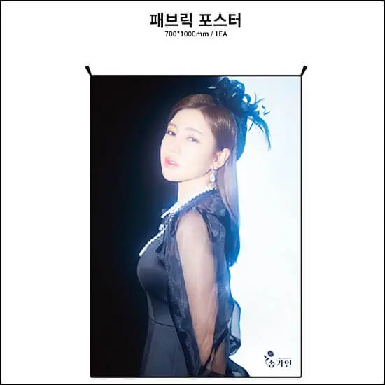 송가인콘서트티켓