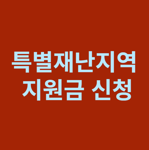 미리캔버스 특별재난지역 지원금 신청 이미지 입니다.