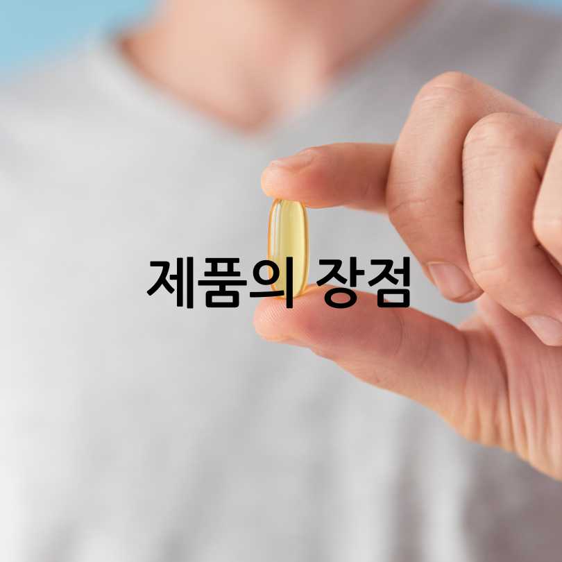 커큐민 흡수율 높인 제품