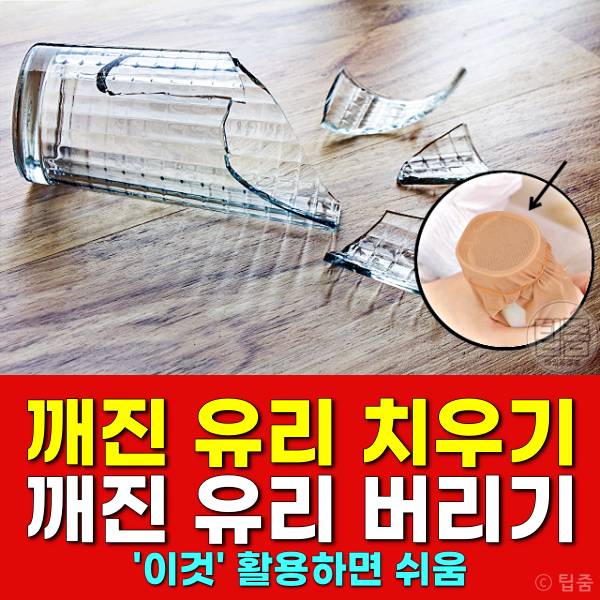 깨진 유리 버리기 깨진 유리컵 치우기