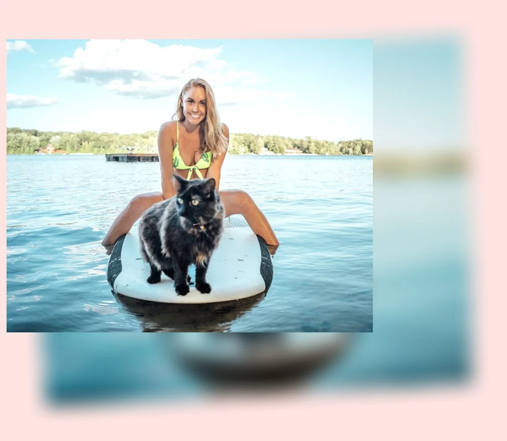 고양이 여름나기_3_subsection