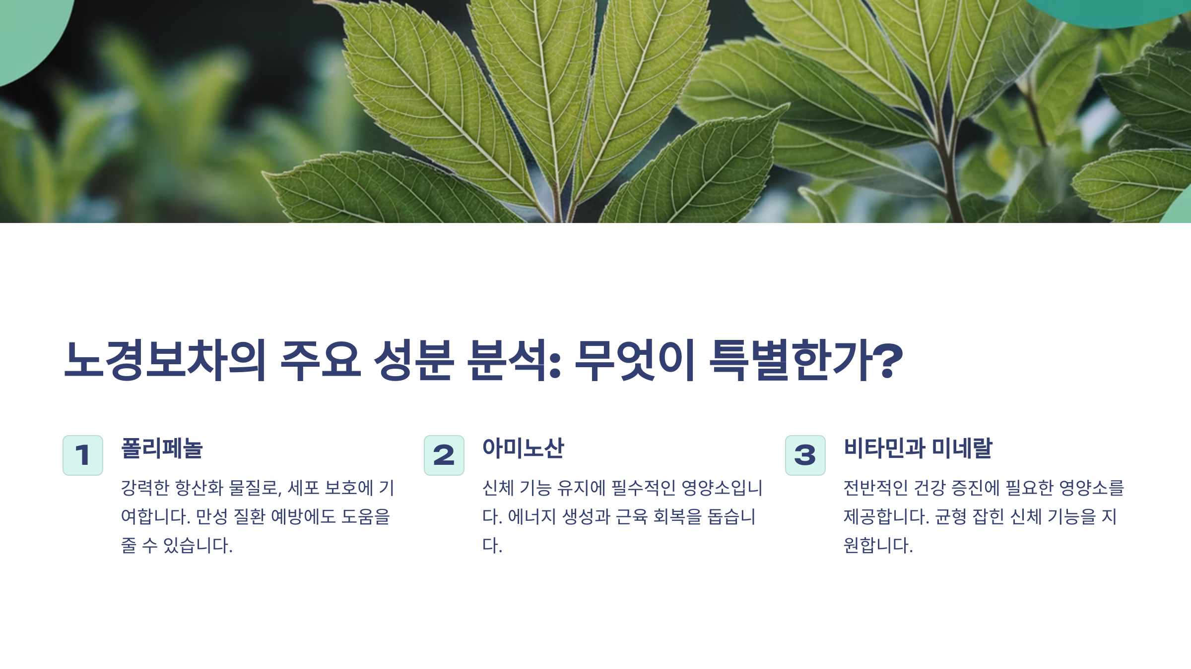 노경보차의 주요 성분