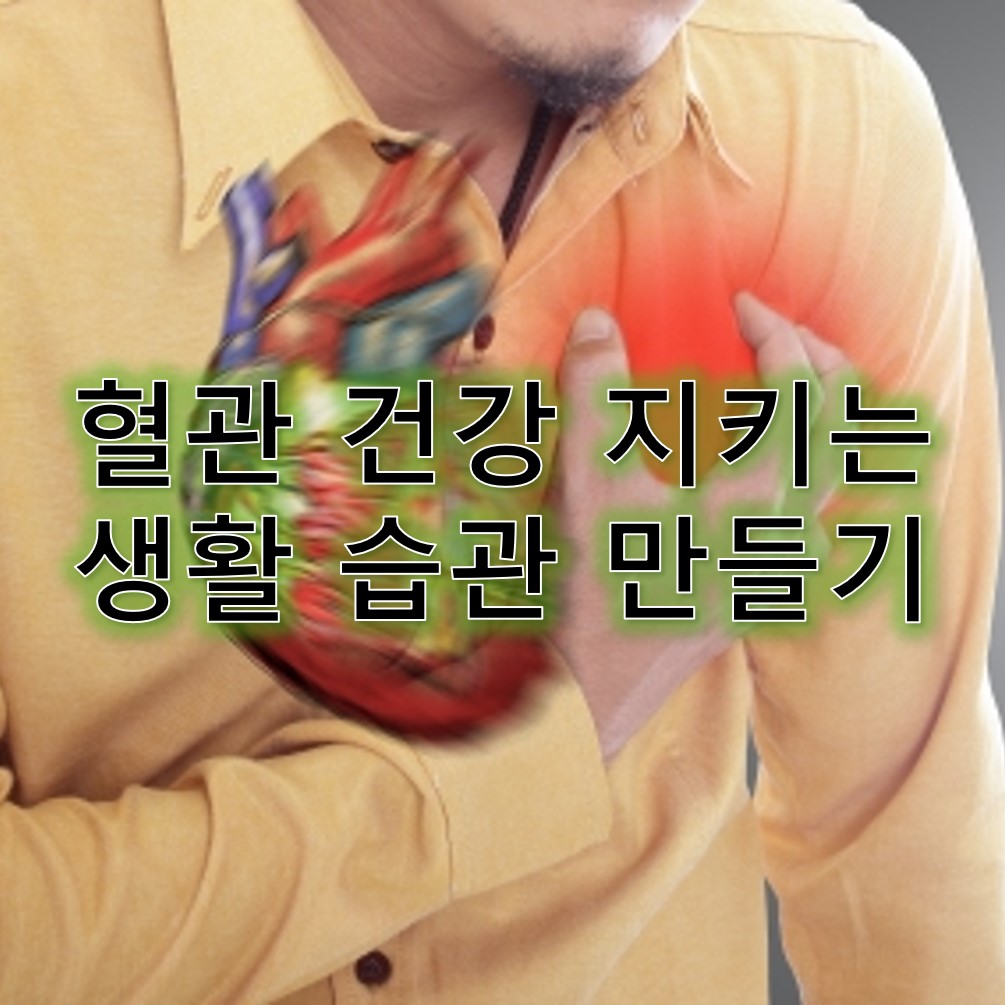 혈관건강