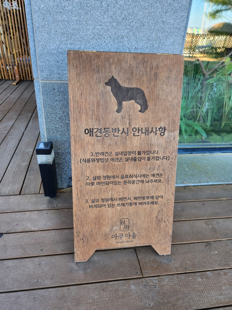 애견동반 공지사항