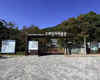 강진 반값 여행_9