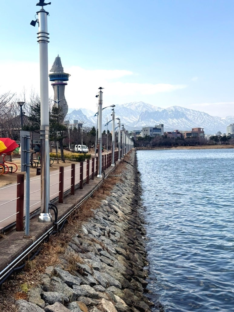 청초호