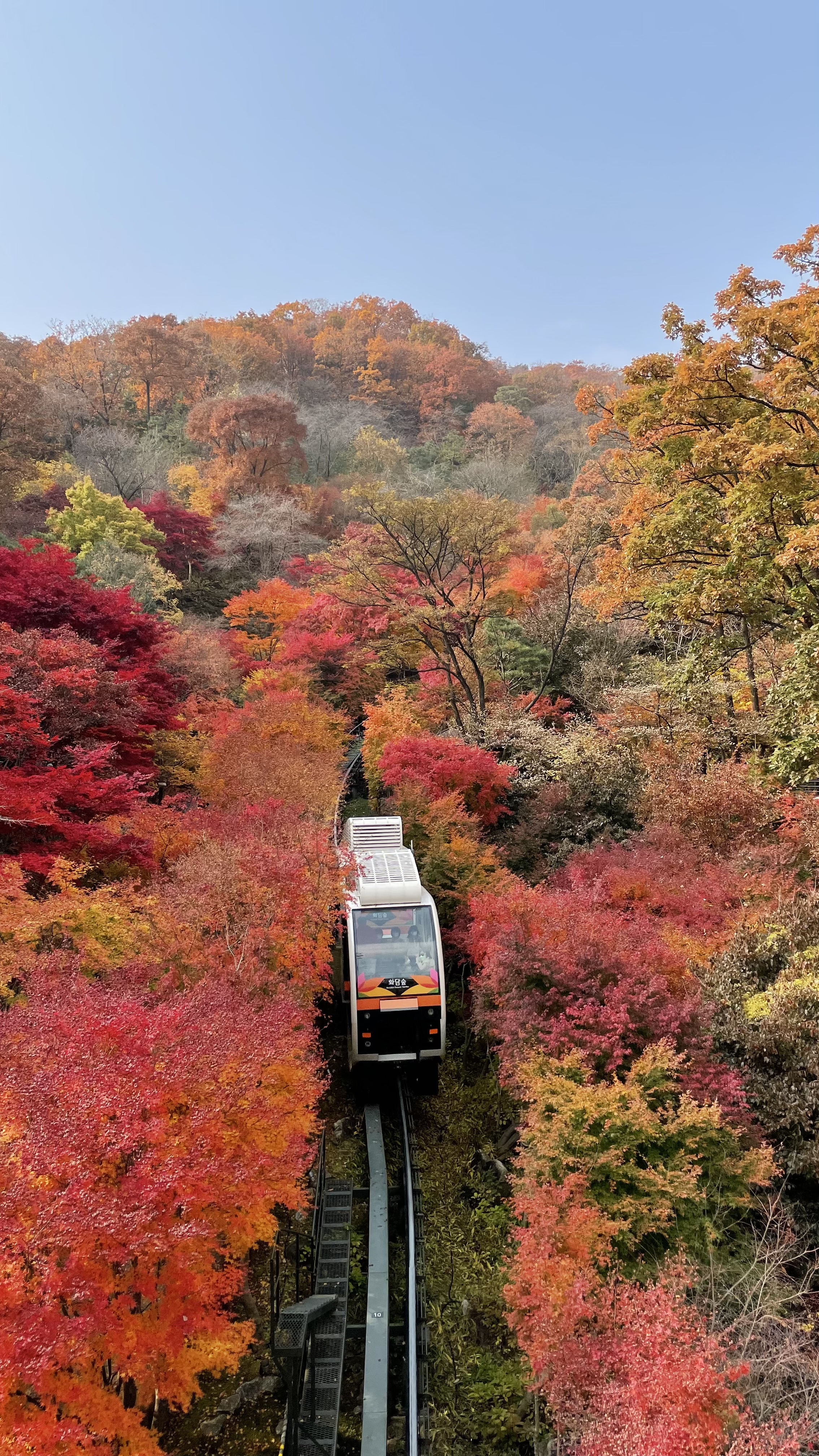 화담숲 예약