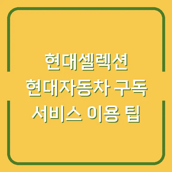현대셀렉션 현대자동차 구독 서비스 이용 팁