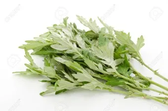 쑥 효능 부작용 하루 섭취량 먹는법_2