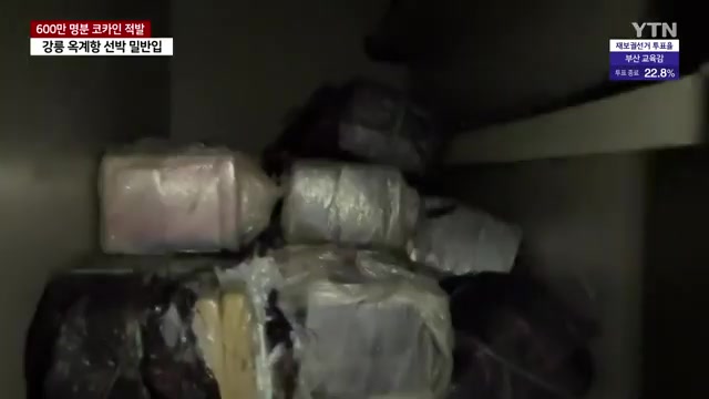 대량 코카인 적발 사건