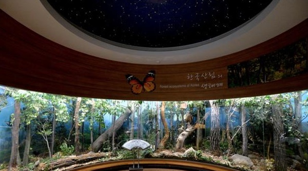 충남 가볼만한 곳 베스트10